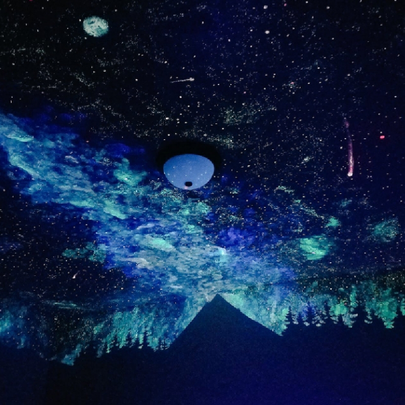 Hood River Woman S Stunning Galaxy Ceiling Paintings Bring Comfort
