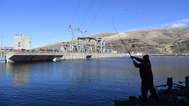Trump administration urged to avoid salmon protection rules