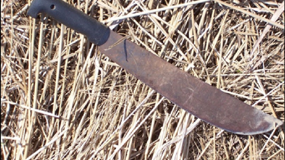 NY adds machetes to list of "dangerous or deadly" weapons WRGB