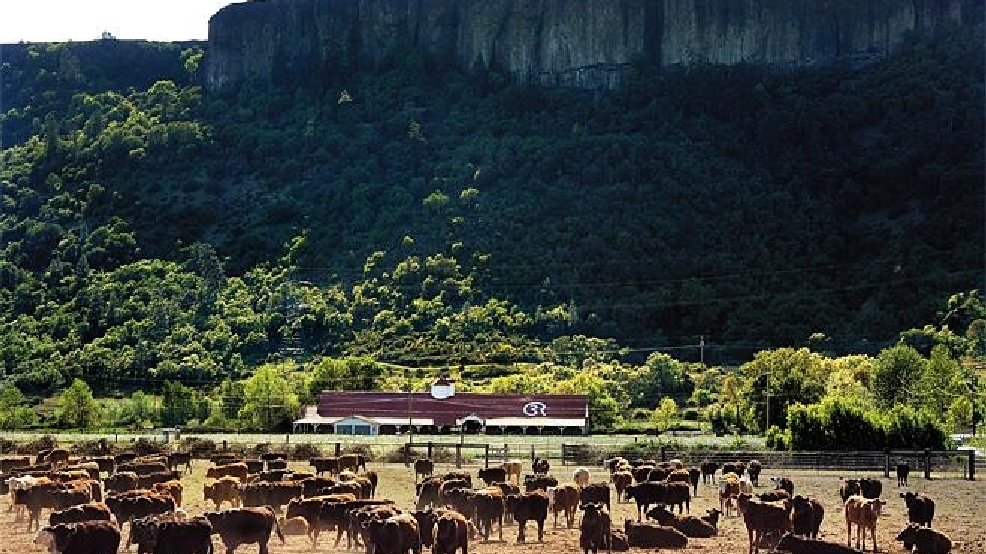 Tribe-Ranch Purchase_Tagg.jpg_BIM.jpg