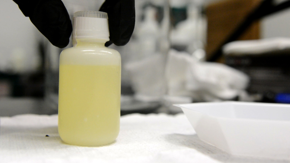 Urine for a surprise! Pee could help generate power for soldiers in the field. Pee.jpeg
