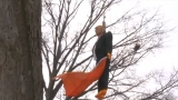 Donald Trump effigy hangs from tree with noose around its neck