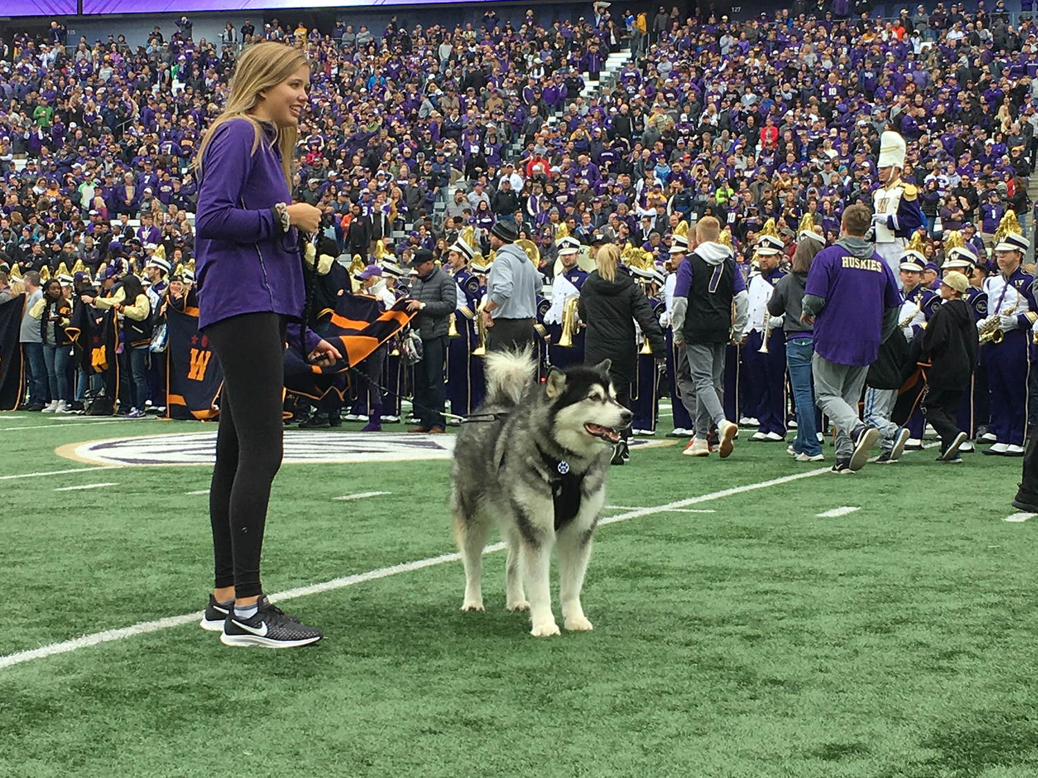 Photos: Remembering Dubs, the goodest retired UW mascot | Seattle Refined