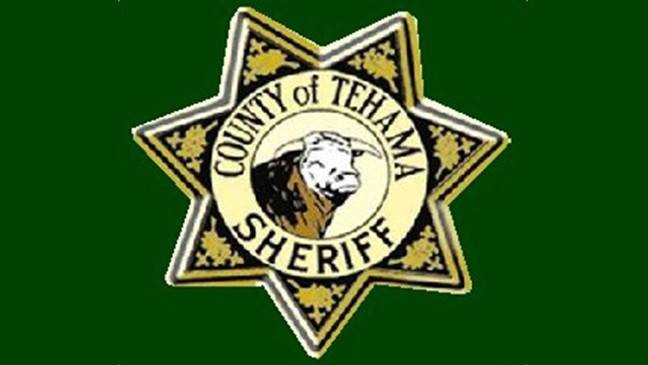 One arrested after assault in Cottonwood