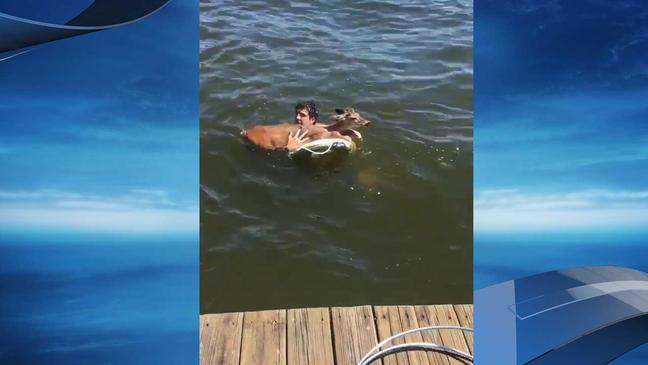WATCH: Deer rescued from East Texas lake