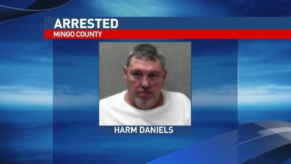 Mingo County man facing drug charge after deputies find hundreds of