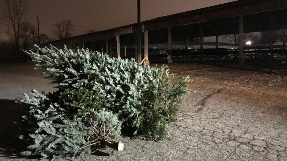 Kalamazoo, Portage offer Christmas tree recycling programs as holidays