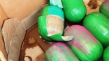 Officers seize 3,000 pounds of marijuana concealed in watermelon shipment at Pharr bridge