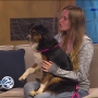 South Bend Pets | News, Weather, Sports, Breaking News | WSBT