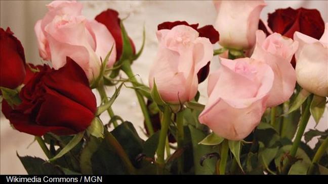 Jeffrey Lewis Berry 59, of Green City Mo., A Simplified Funeral Solution