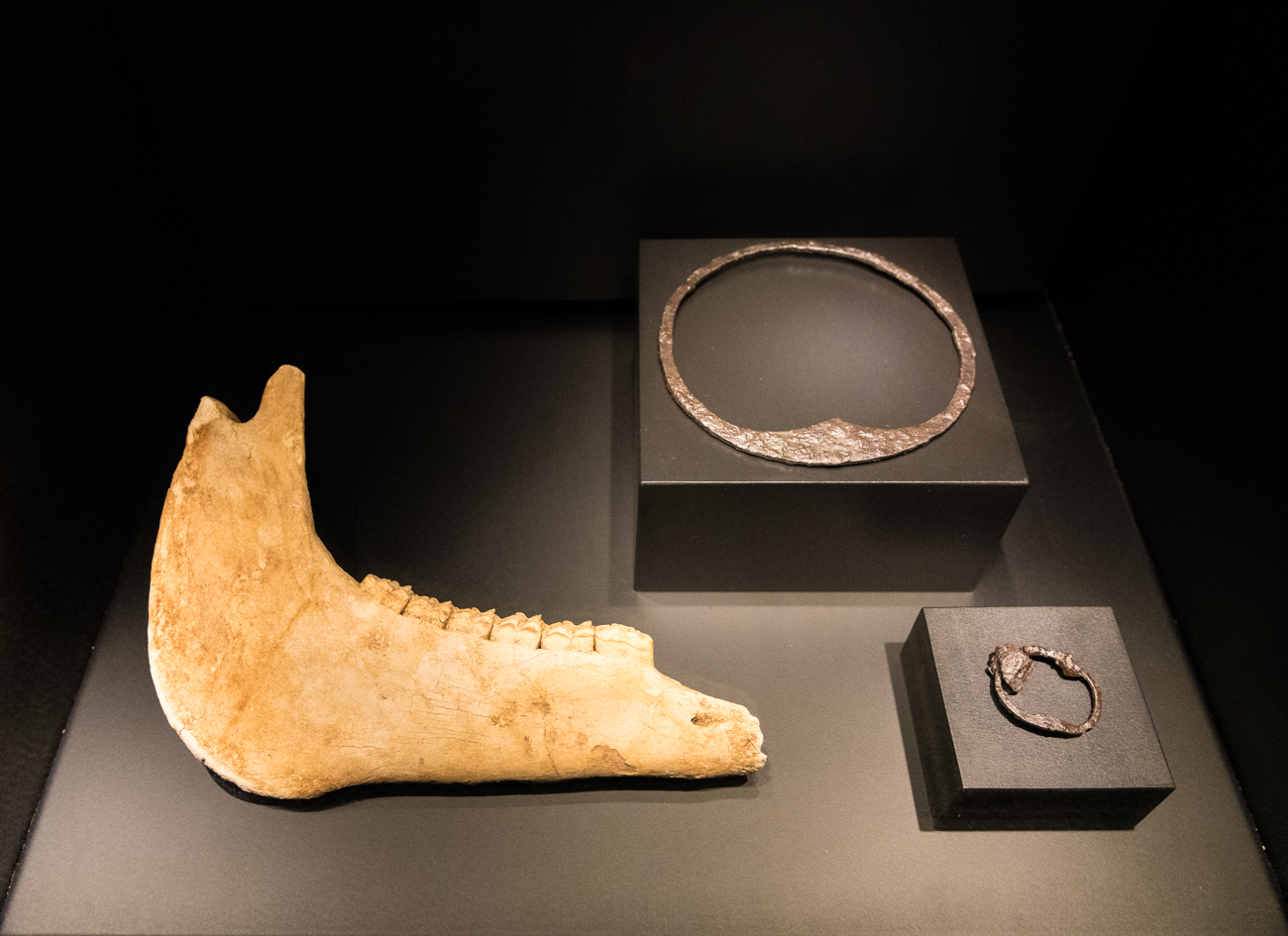 The Largest ThousandYearOld Viking Ship Ever Discovered Has Arrived In Cincy Cincinnati Refined