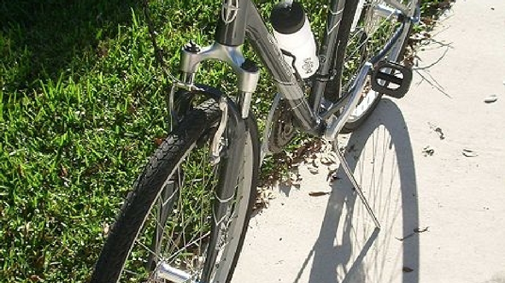 450px-Schwinn_Bicycle.jpg