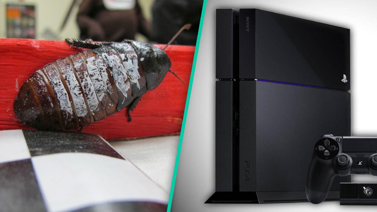 PlayStation 4 is often home to cockroaches report Circa News Learn