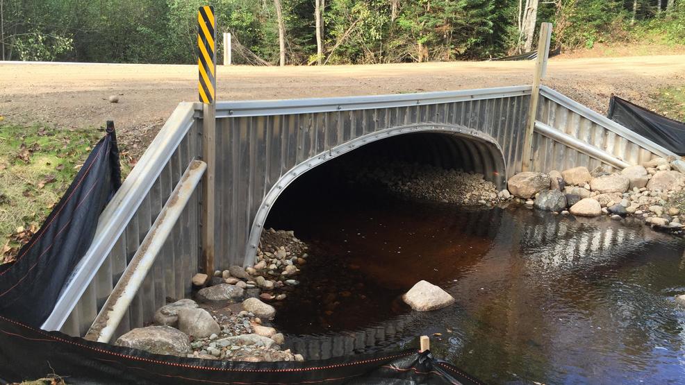 Trout stream restoration project open in Forest Co. WLUK