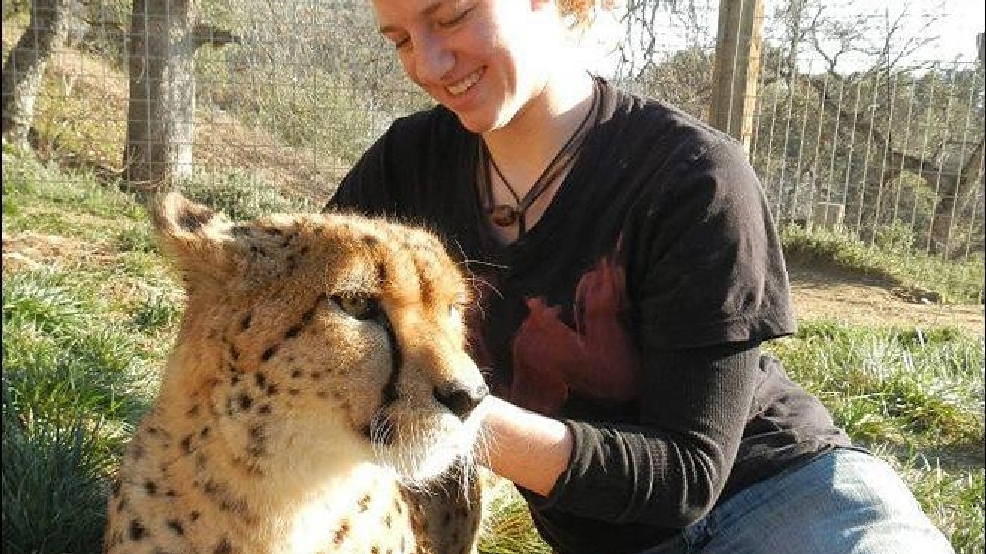 130306_lion_big.jpg_BIM.jpg