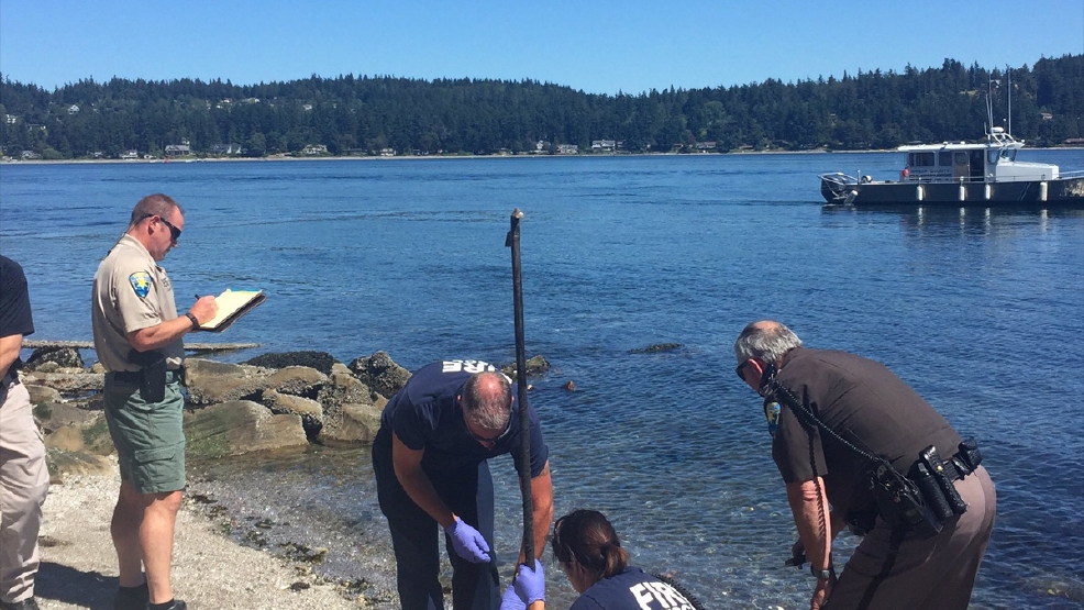 Woman's Body Washes Up On Kitsap Beach Near Popular State Park | KOMO