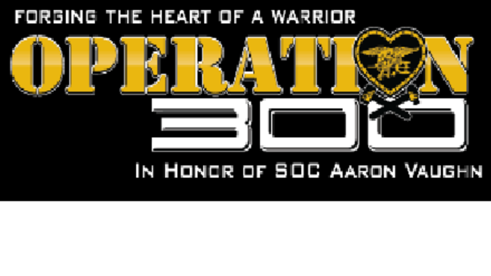 Operation 300.png Operation 300.png