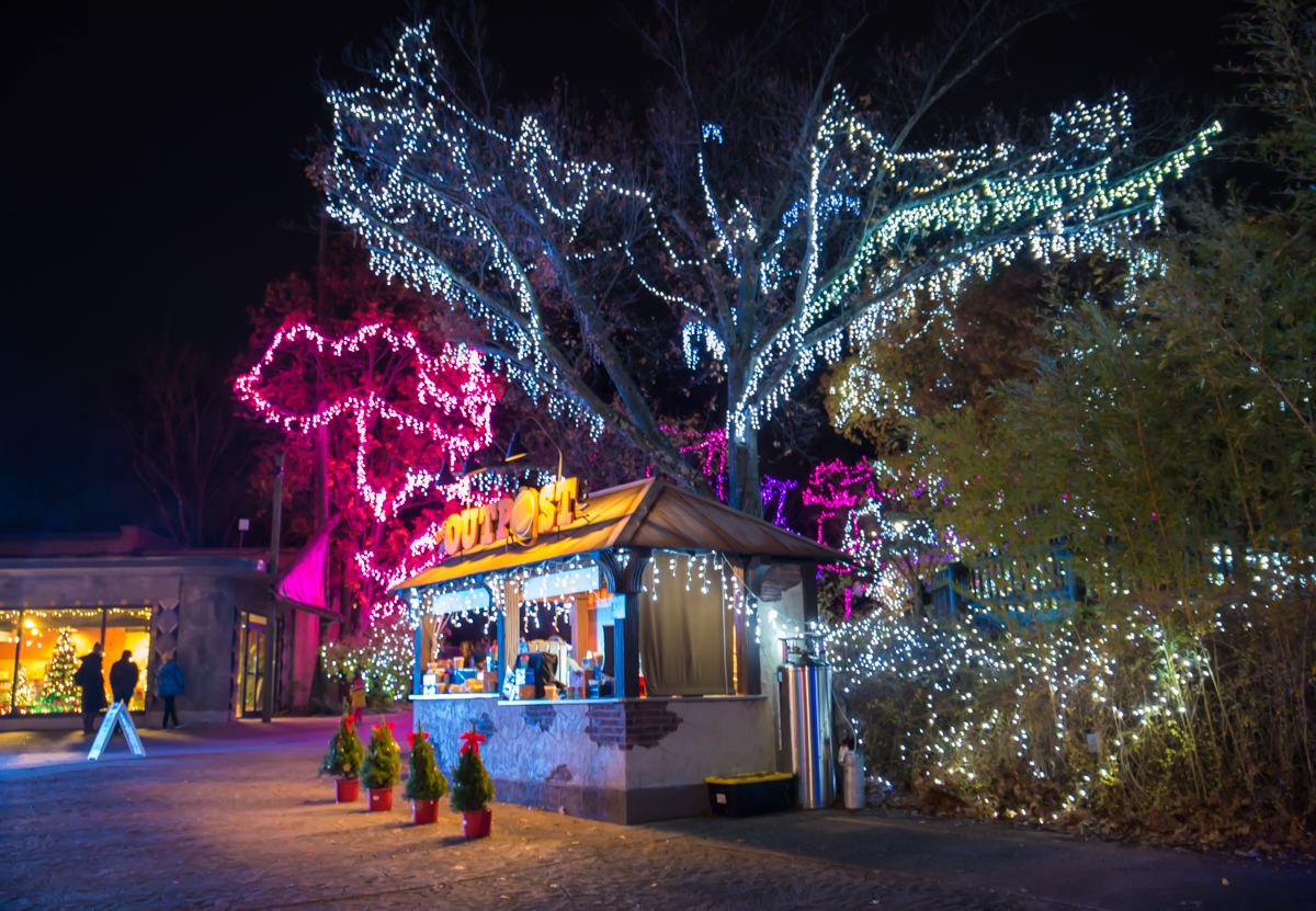 Illuminate Your Imagination With A Visit To The Festival Of Lights