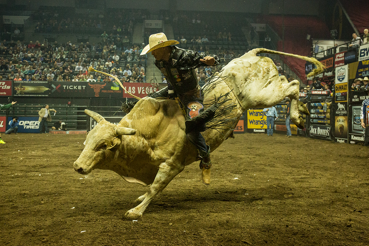 Photos Dirt Replaces The Hardwoods As Professional Bull Riders Buck At