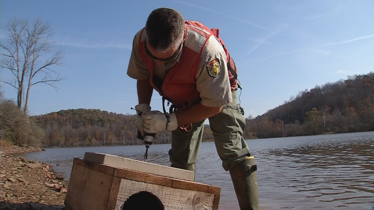 WV Wildlife Catfish Boxes WCHS