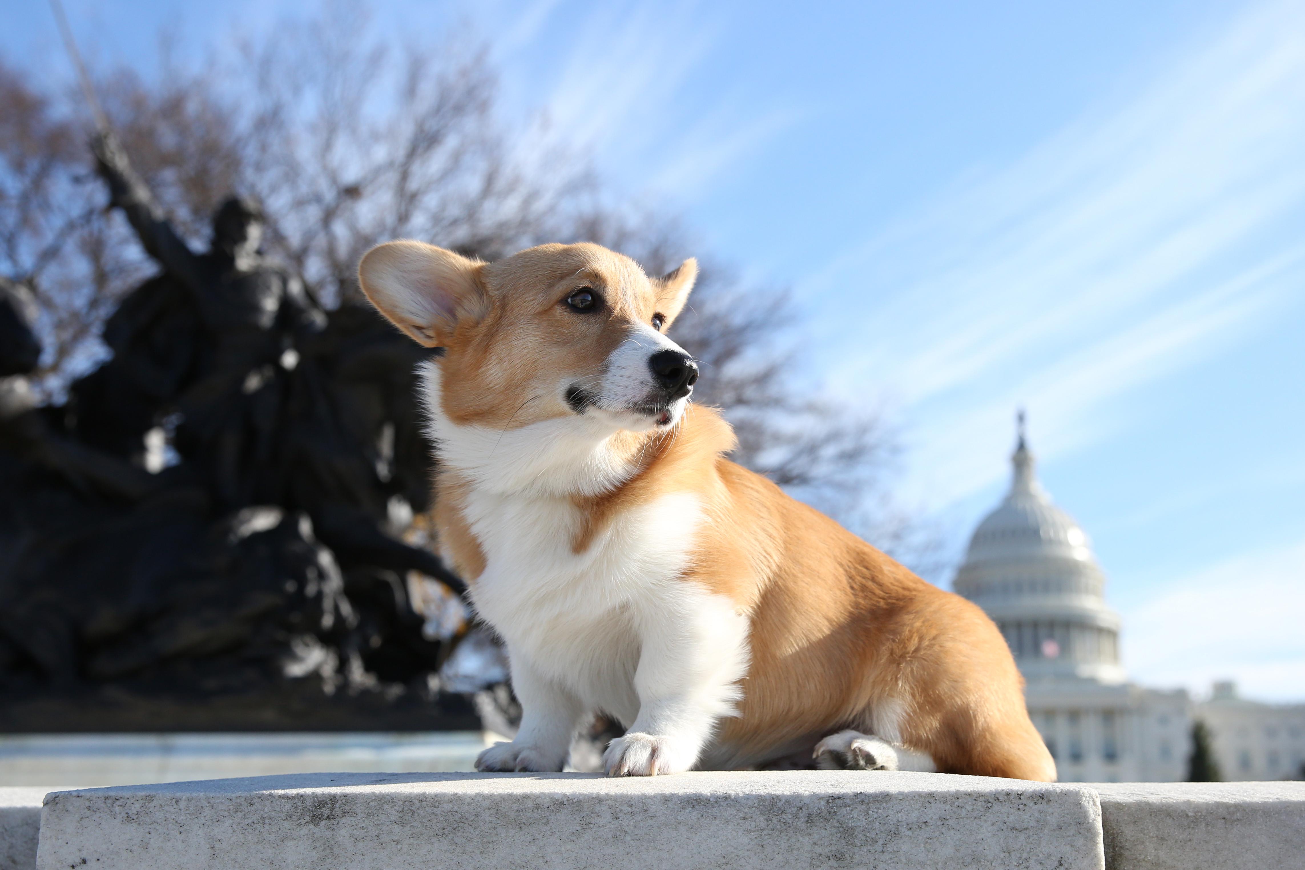 ����� ��������, ������� �������� � ����� ����� �������