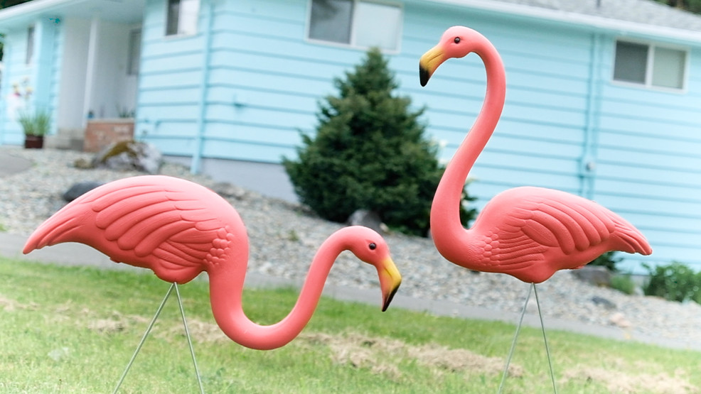 d17466d4-5e61-4be6-9fd6-373a7d6624ac-large16x9_FLAMINGO30.jpg