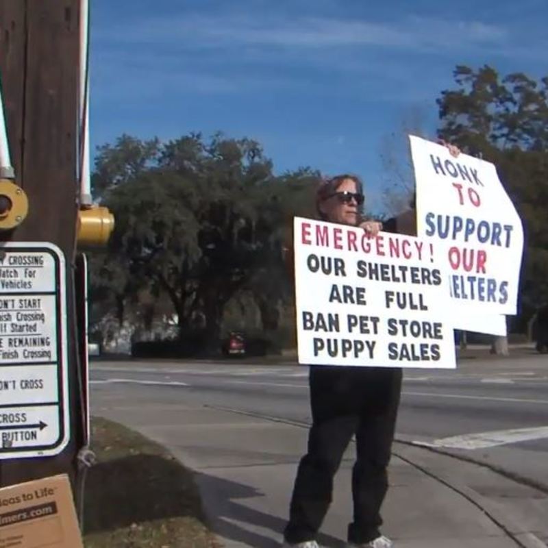 petland protest
